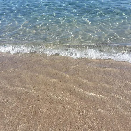 Il Moro